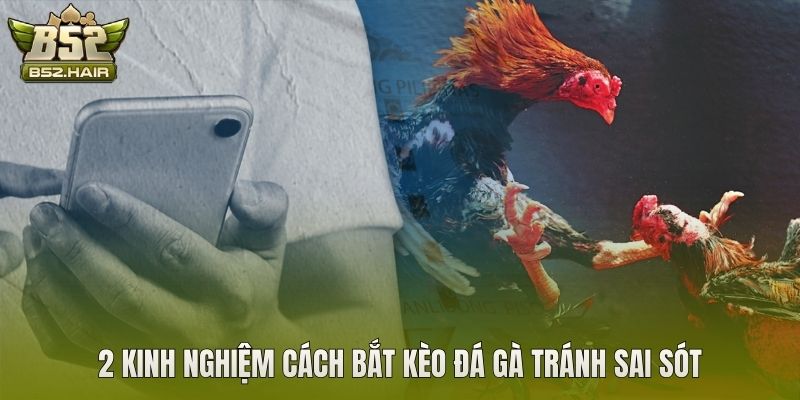 2 kinh nghiệm cách bắt kèo đá gà tránh sai sót