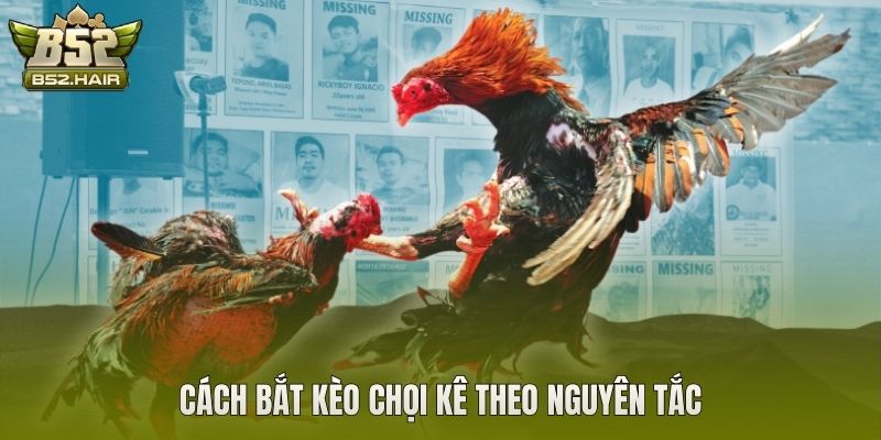Cách bắt kèo chọi kê theo nguyên tắc