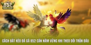 Cách Bắt Kèo Đá Gà B52 Cần Nắm Vững Khi Theo Dõi Trận Đấu