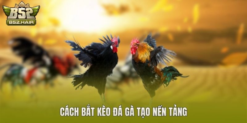 Cách bắt kèo đá gà tạo nền tảng