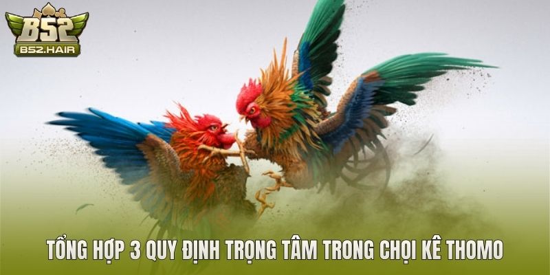 Tổng hợp 3 quy định trọng tâm trong chọi kê Thomo