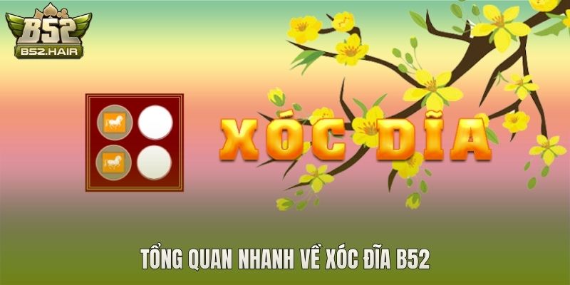 Tổng quan nhanh về Xóc Đĩa B52